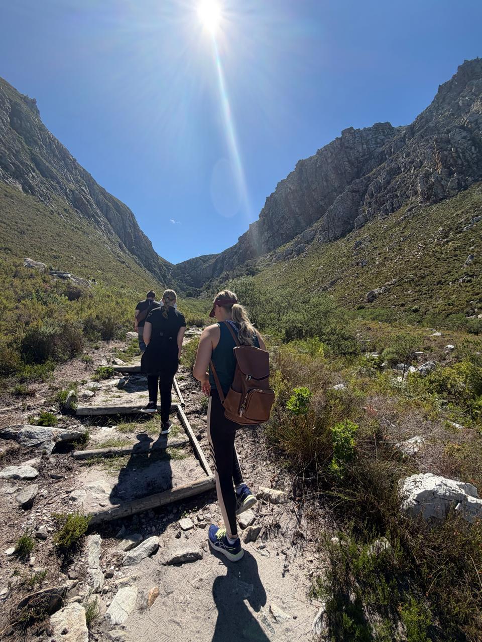 Students hiking a mountain trail in the Helderberg area